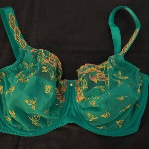 NWOT Prima Donna 34F Teal